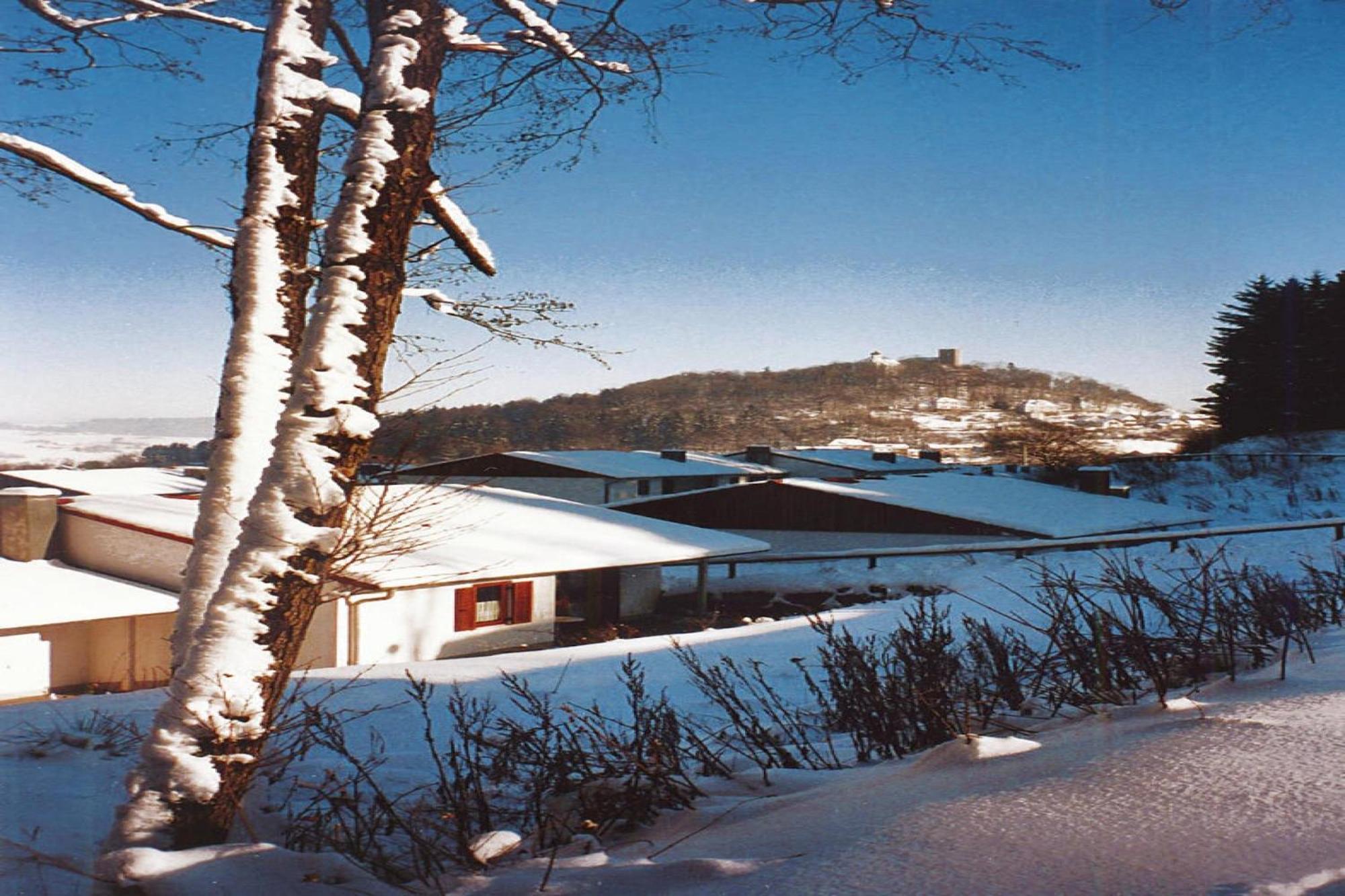 Ferienwohnung Im Ferienpark Falkenstein Falkenstein  Ngoại thất bức ảnh